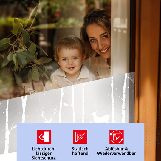 Fensterfolie static window border Birch Woods image number null